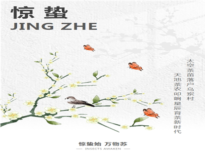 太空茶苗,落地天池茶农有机生态茶园